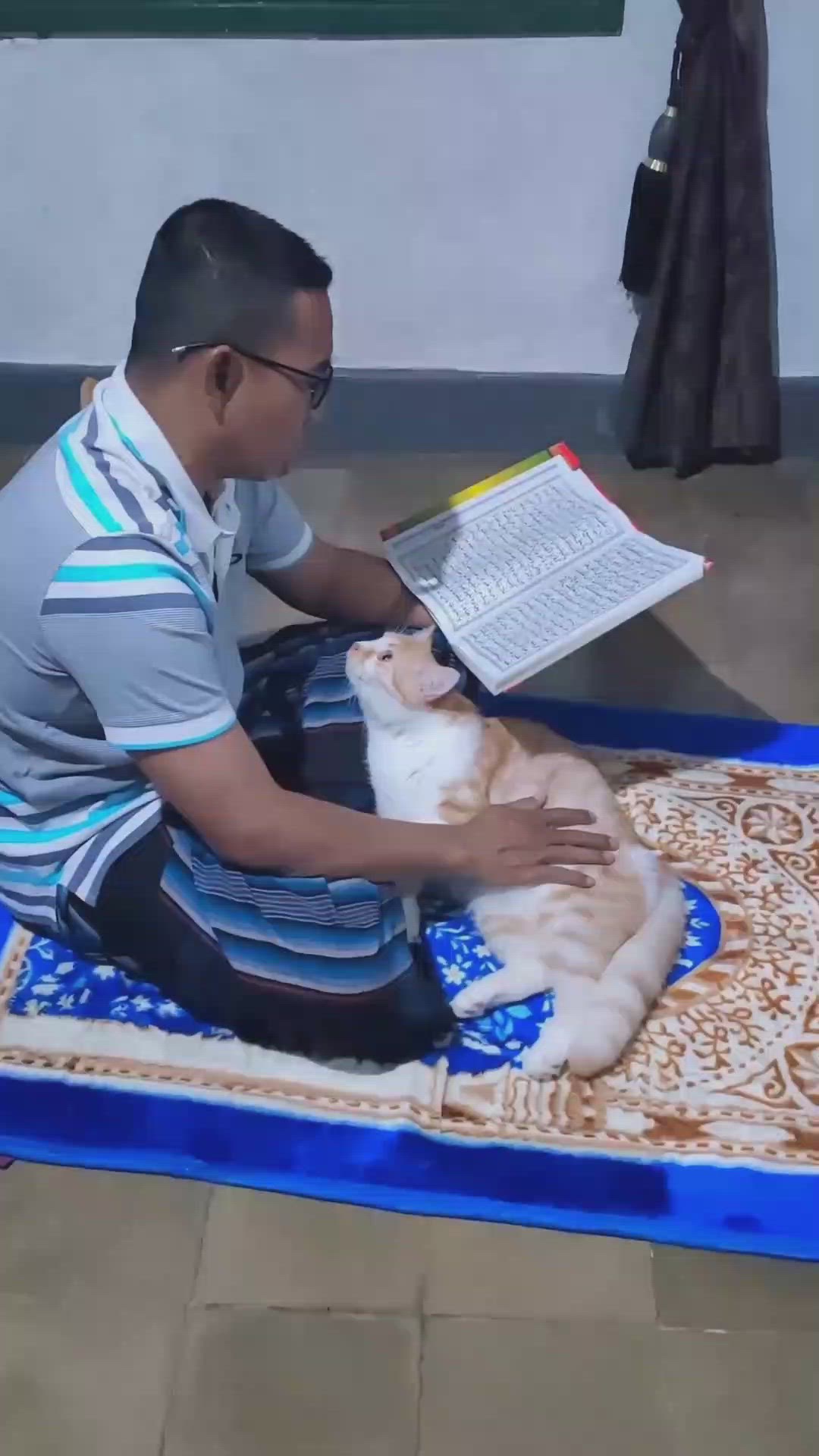 'Video thumbnail for Man reciting Quran with cat after prayer'