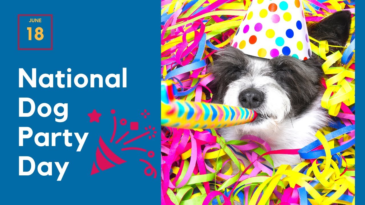 Video thumbnail for Party time woof woof!  National Dog Party Day is