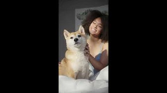 'Video thumbnail for The Benefits of Having a Doctor Dog on Staff How Man's Best Friend is Helping Health Professionals'