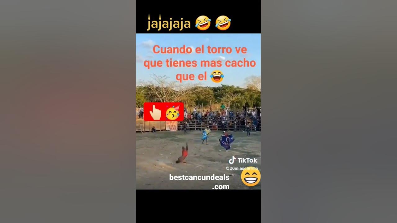 'Video thumbnail for Cuando el #toro es más inteligente 🧠🙀😱😅😂😂😂#shorts'