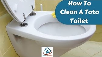 'Video thumbnail for How To Clean A Toto Toilet [2 Easy Methods]'