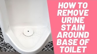 'Video thumbnail for How To Remove Urine Stain Around Base of Toilet In 3 Easy Methods'