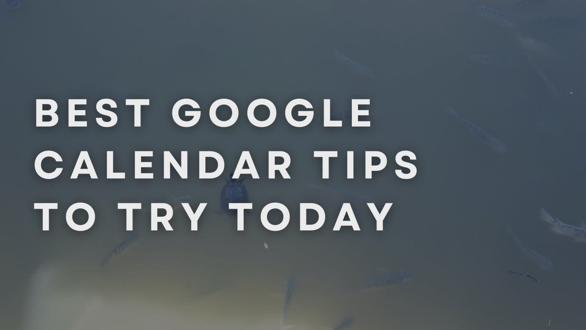 'Video thumbnail for Best Google Calendar Tips To Try Today'