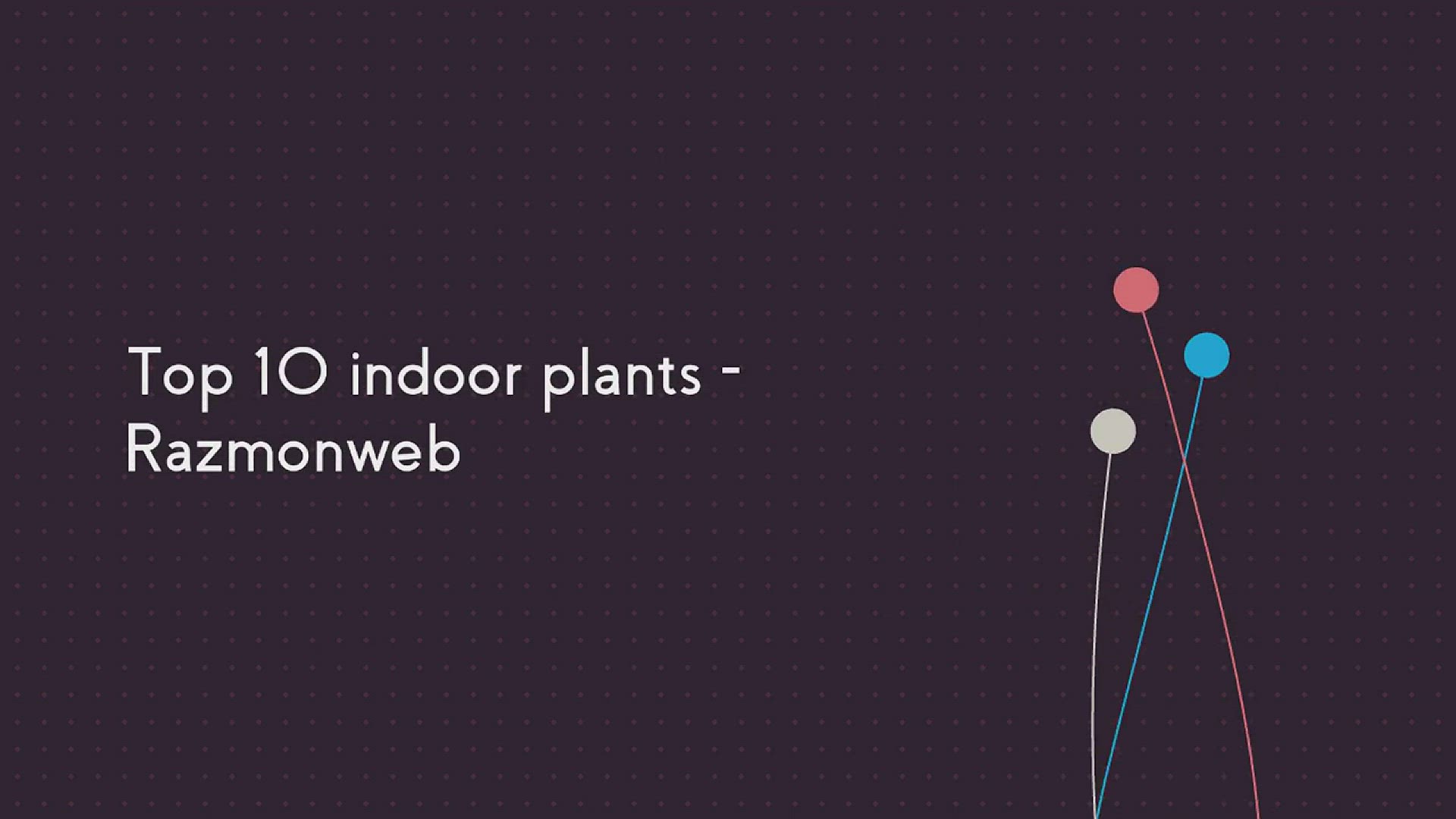 'Video thumbnail for Top 10 indoor plants - Razmonweb'