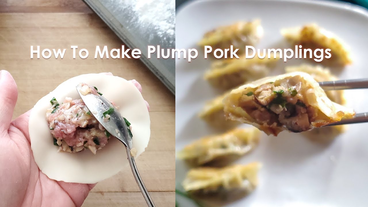 We Tried Trader Joe's Pork and Ginger Soup Dumplings - DailyWaffle