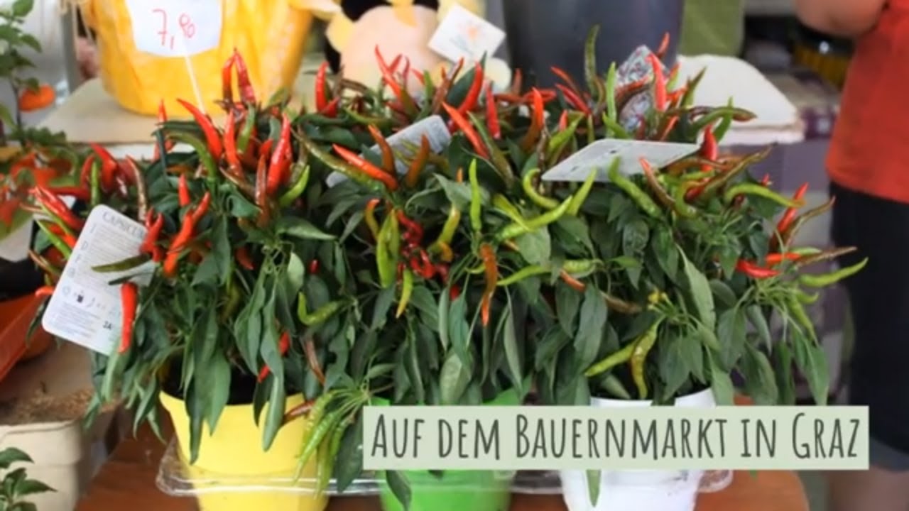 'Video thumbnail for Auf dem Bauernmarkt Lendplatz in Graz'
