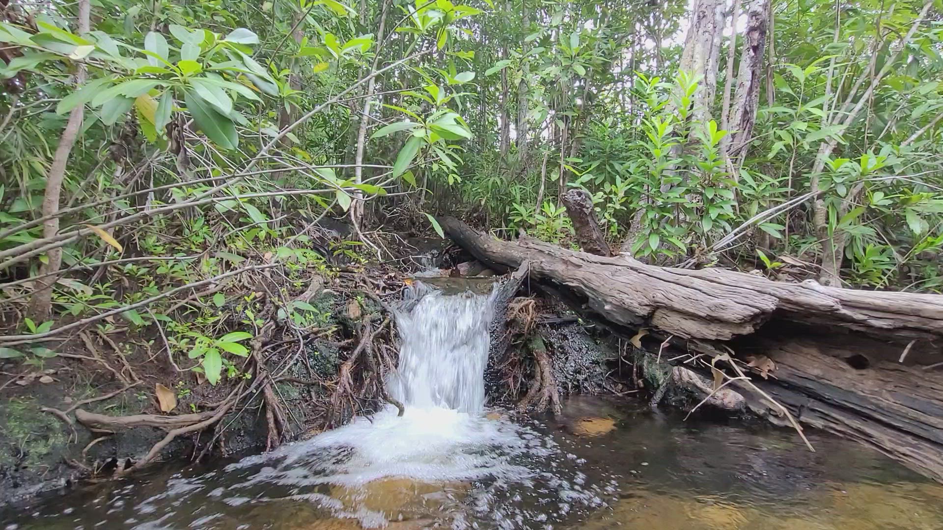 Video thumbnail for Litchfield waterfall