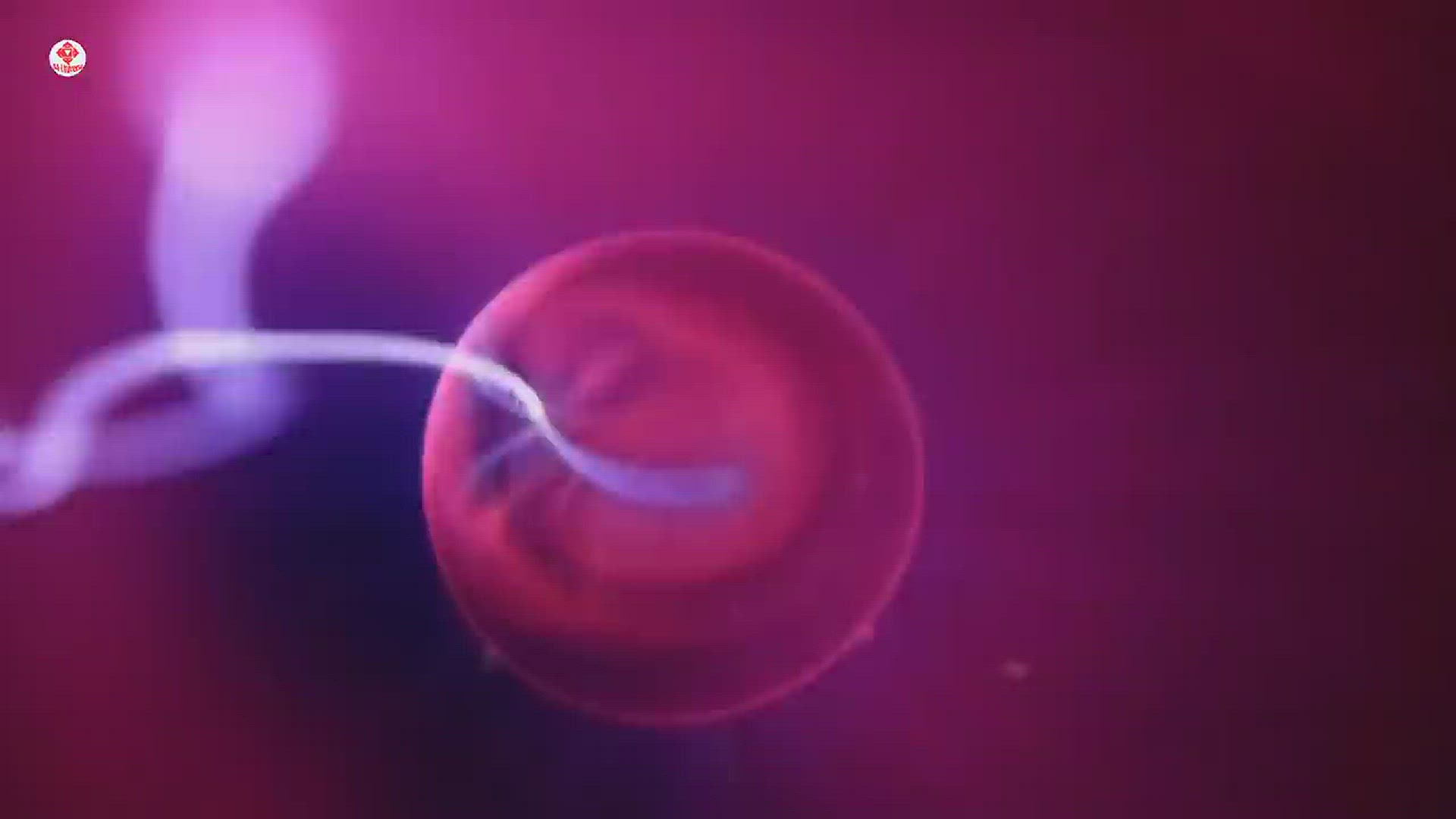 Video thumbnail for Chân Ngã, Sợi Chỉ Bạc Và Mối Liên Hệ Với Chúng Ta