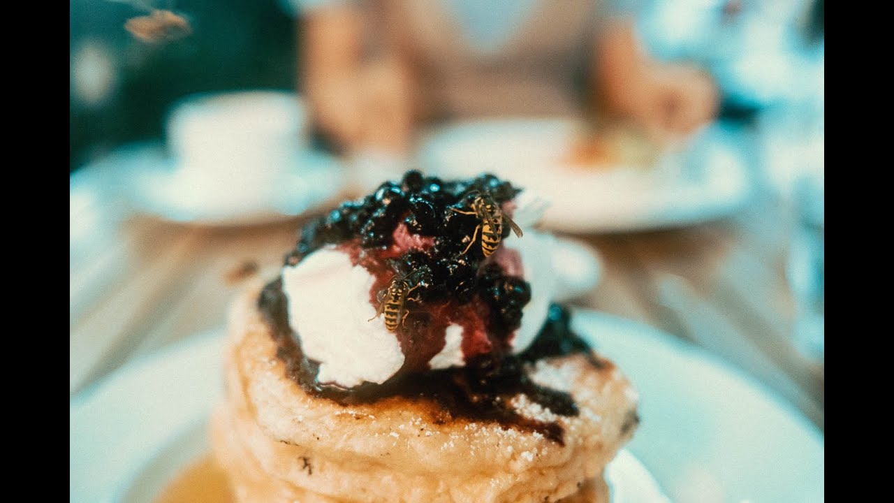 Video thumbnail for What to expect when you have a patio brunch in Toronto in September - WASPS!