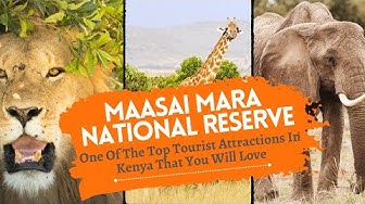 Video thumbnail for Maasai Mara National Reserve One Of The Top Tourist Attractions In Kenya That You Will Love 🥰