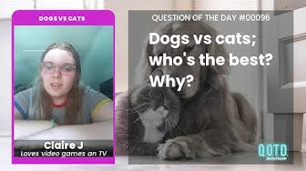 Video thumbnail for Dogs vs cats? Cats pretty much all the time.