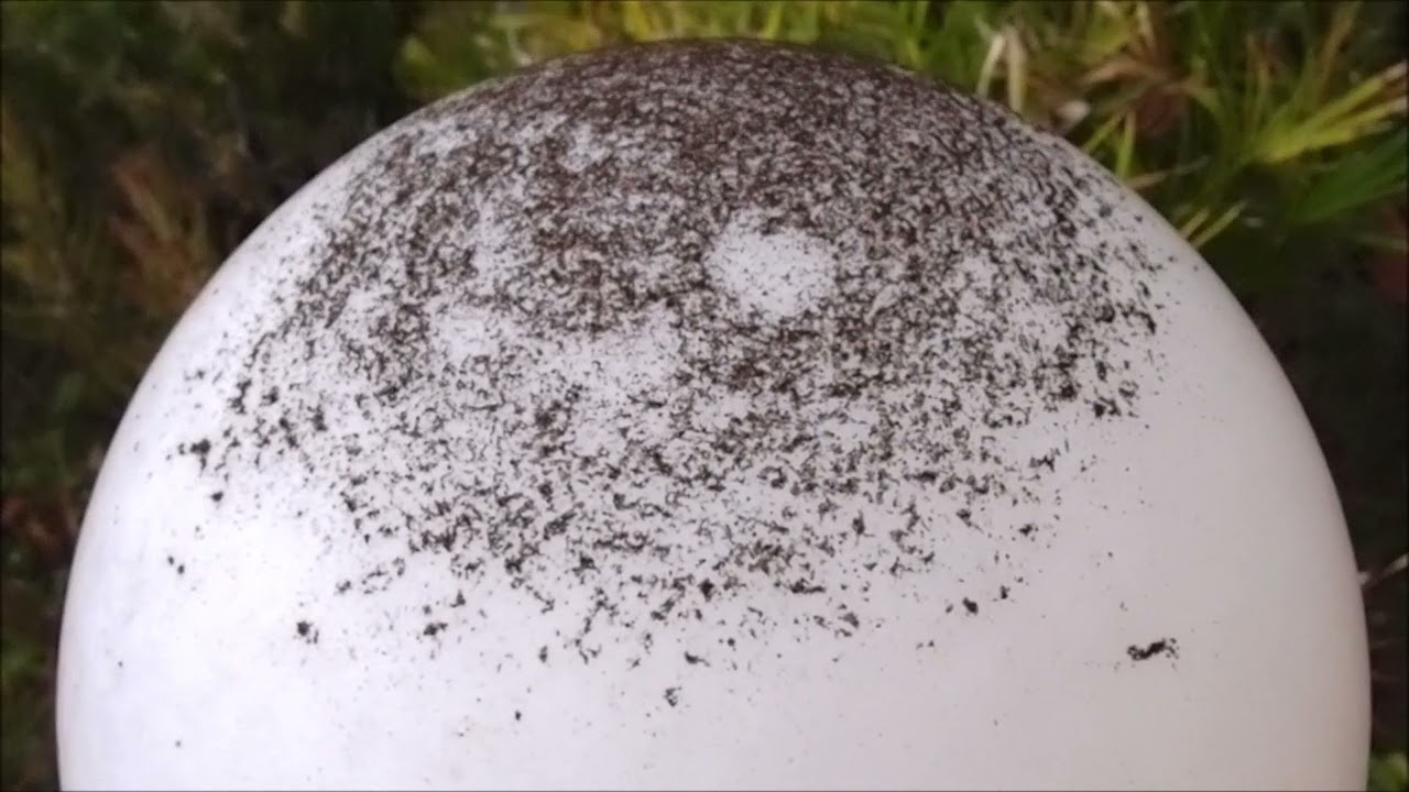 'Video thumbnail for Lavastaub auf La Palma'