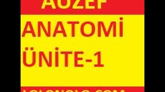 'Video thumbnail for Anatomi Ünite 1 Online Test 2019 / 2020'