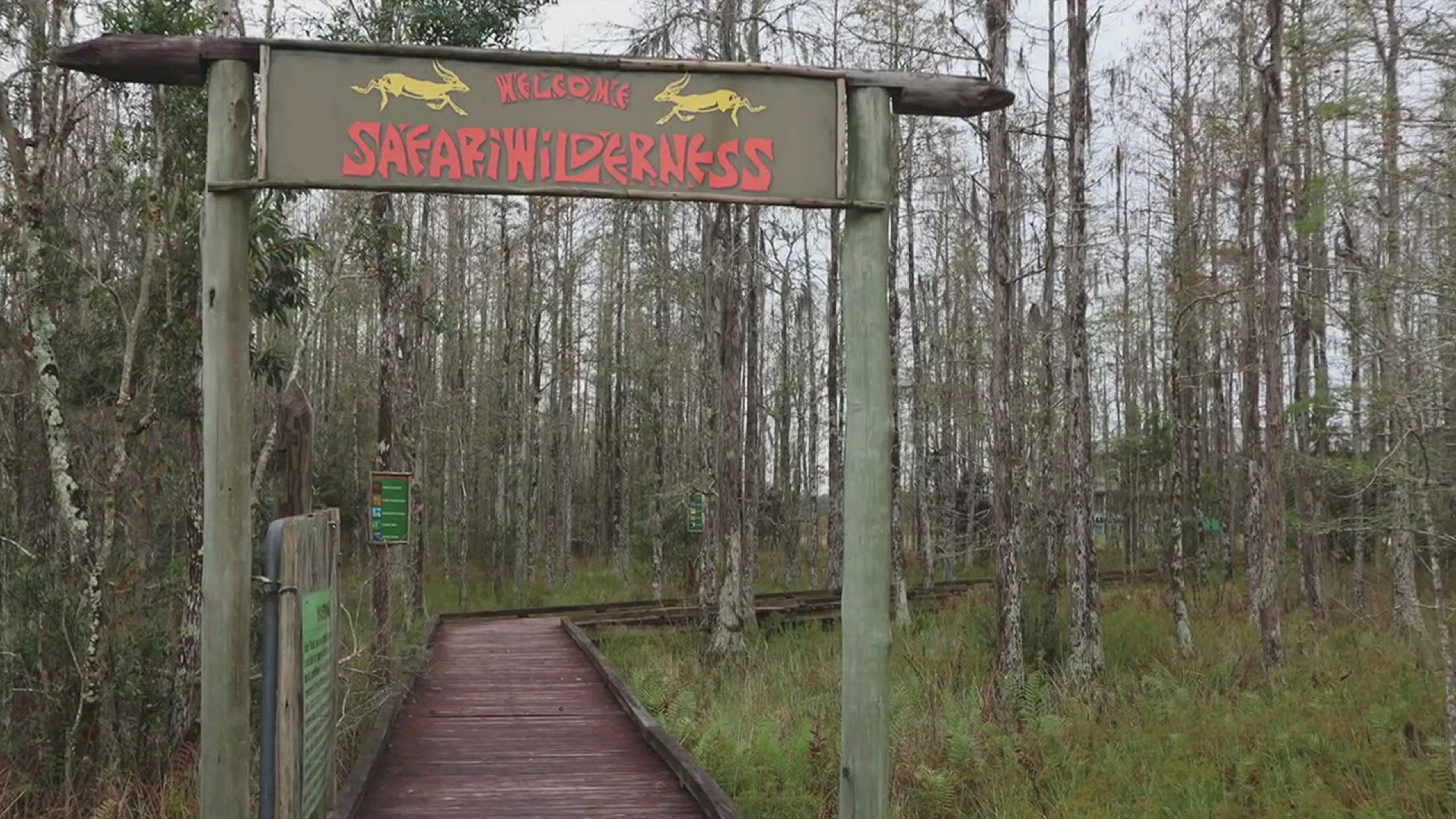 'Video thumbnail for A Safari Wilderness Adventure in Central Florida'