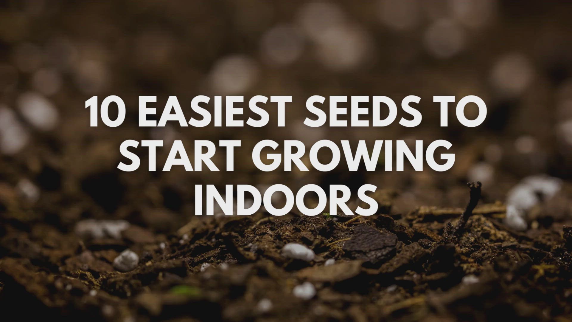 Video thumbnail for 10 Easiest Seeds to Start Growing Indoors