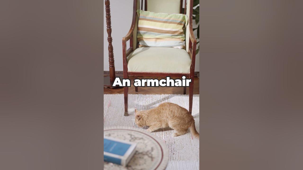 'Video thumbnail for I Have Legs But I can't walk... What am I? | Tricky Riddle with Answer'
