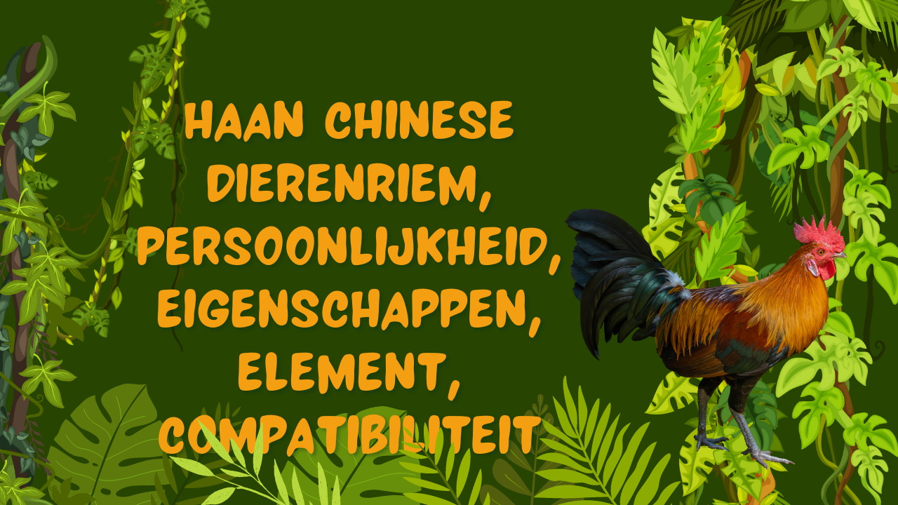 Video thumbnail for Haan chinese dierenriem, persoonlijkheid, eigenschappen, element, compatibiliteit