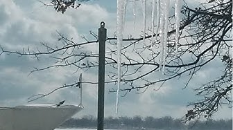 'Video thumbnail for Winter an der Waterfront in Toronto'