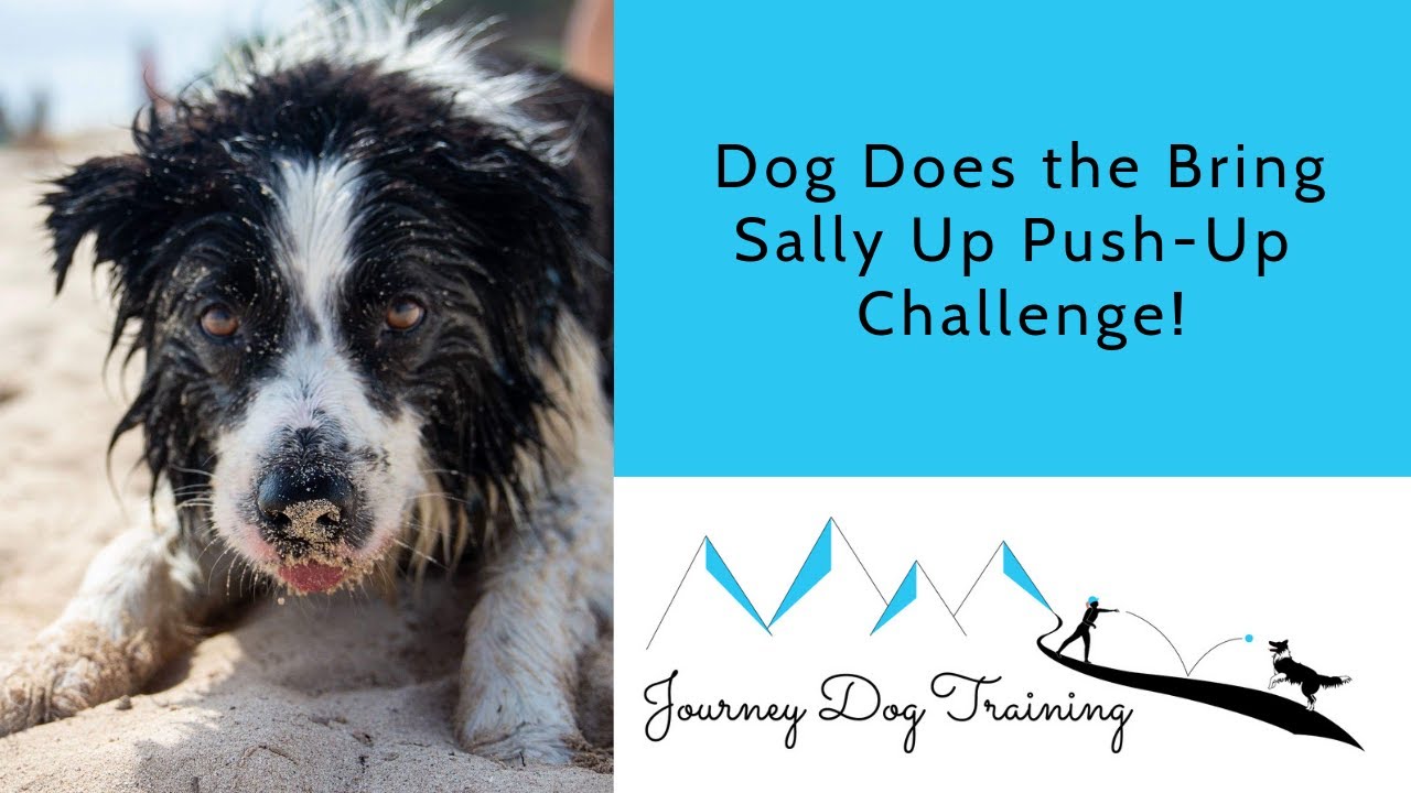 'Video thumbnail for Dog Does the Bring Sally Up Push-Up Challenge!'