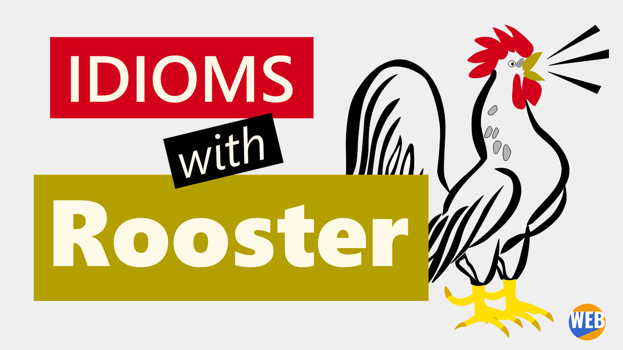 'Video thumbnail for  Idioms and expressions with Rooster'