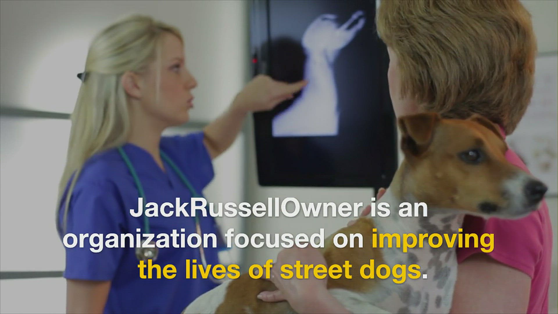 Video thumbnail for Jack Russell Owner Info