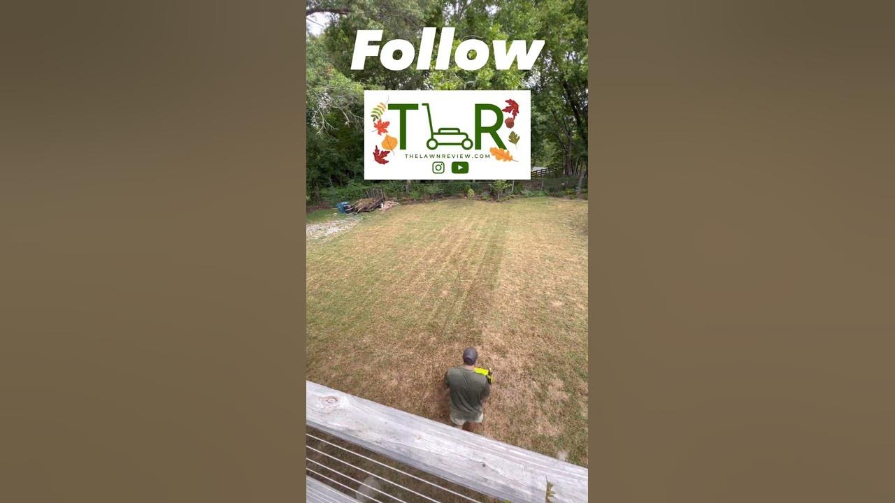 Video thumbnail for Ultimate FALL Lawn Care Routine: Scalping & Dethatching Grass #shorts #scalping #lawncare