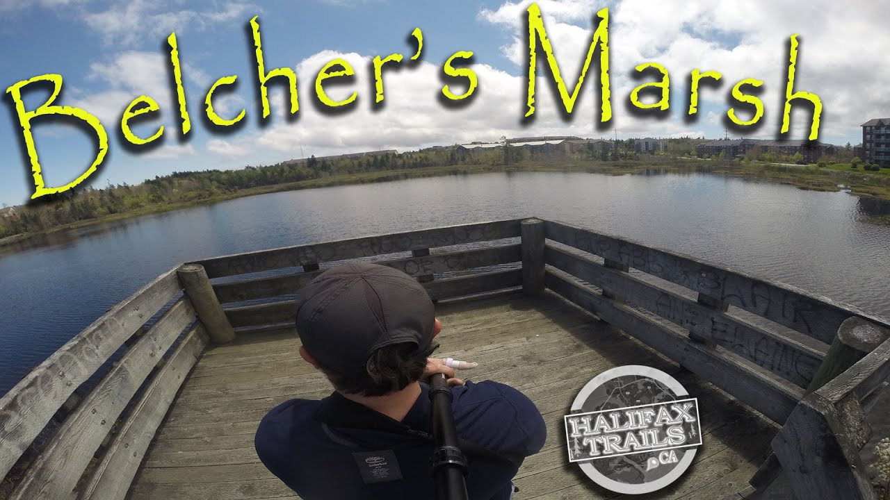 'Video thumbnail for Belcher's Marsh - Halifax, Nova Scotia'