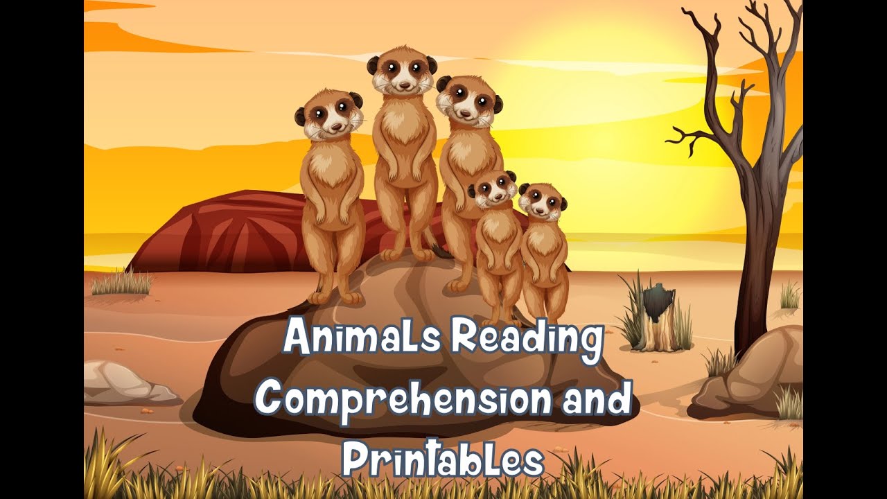 Video thumbnail for Reading Comprehension and short stories - Animals