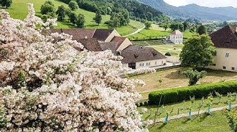 'Video thumbnail for Klostergarten im Stift St  Paul im Lavanttal'