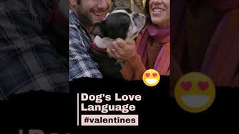 'Video playlist thumbnail'