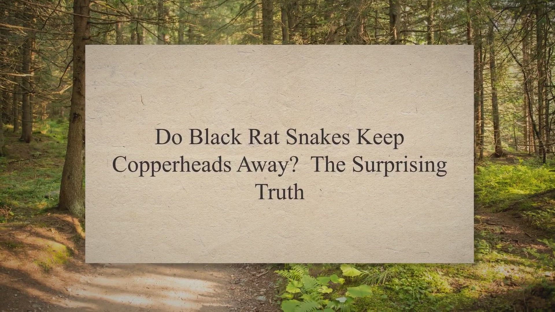 Video thumbnail for Do Black Rat Snakes Keep Copperheads Away? The Surprising Truth