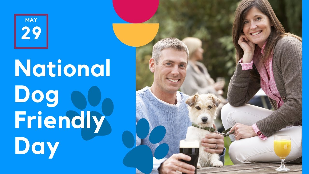 Video thumbnail for National Dog Friendly Day - May 29th