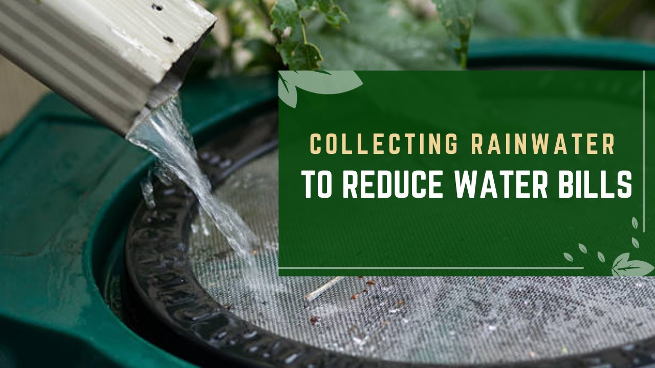 Video thumbnail for Collecting Rainwater to Reduce Water Bills