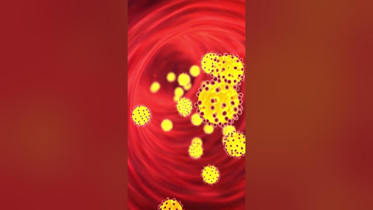 'Video thumbnail for Garlic: The Simple Way to Reduce High Cholesterol #shorts'