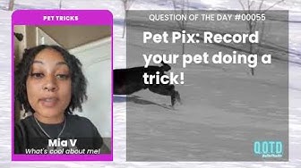 Video thumbnail for Mia's dogs can bark forever. What a not-annoying talent!