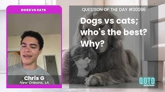 Video thumbnail for For Chris, a cat-dog is the best option. By far!