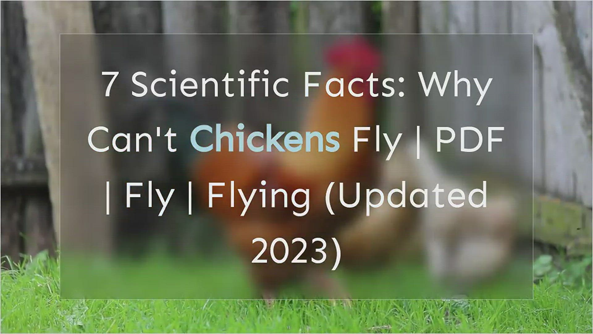 'Video thumbnail for Why Cant Chickens Fly'