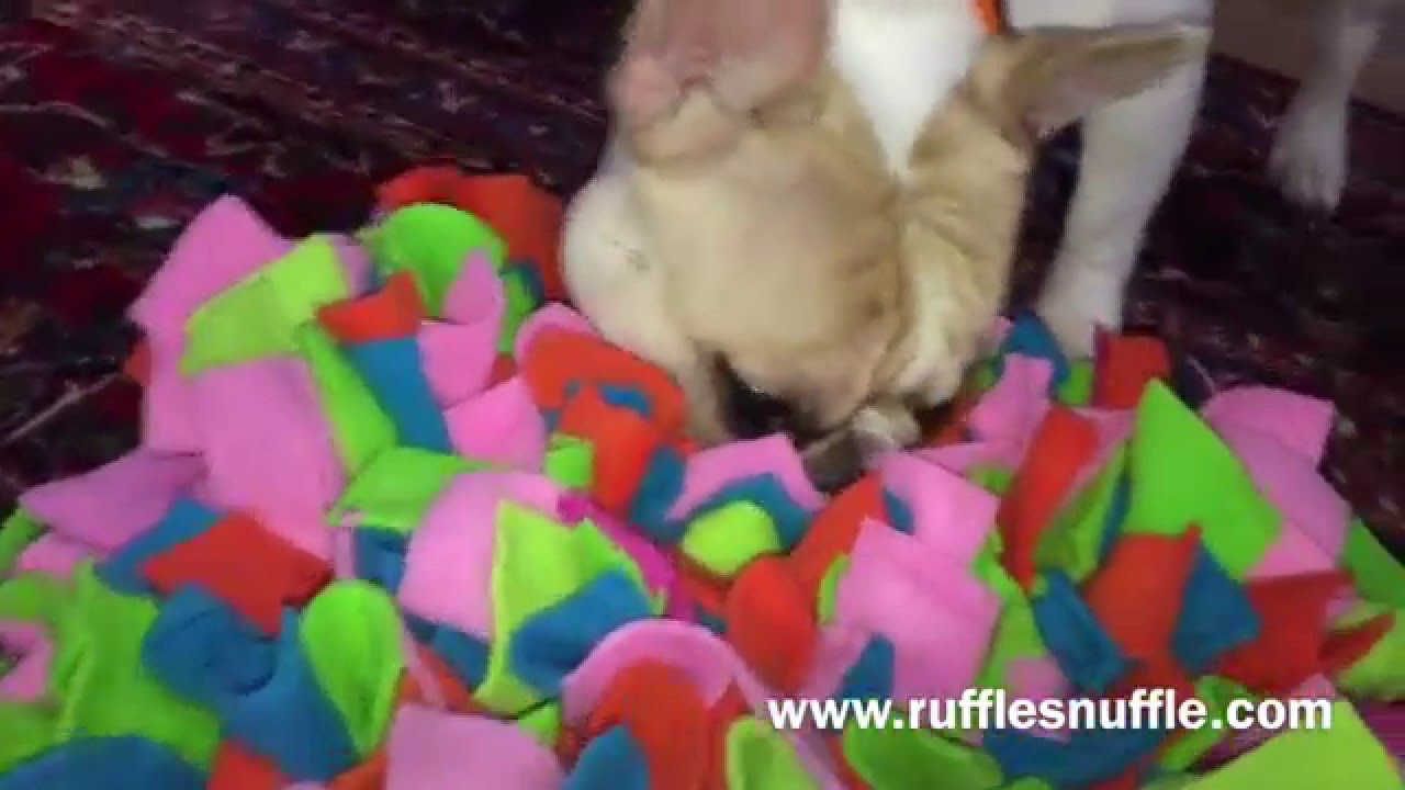 Video thumbnail for What is a snuffle mat?