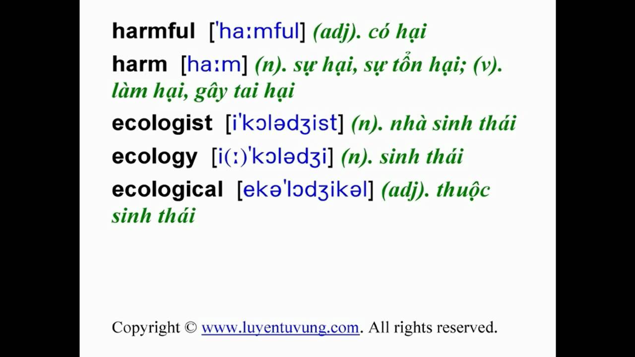 'Video thumbnail for Learn English Vocabulary - Grade 11 - Unit 11 - Lesson 02'
