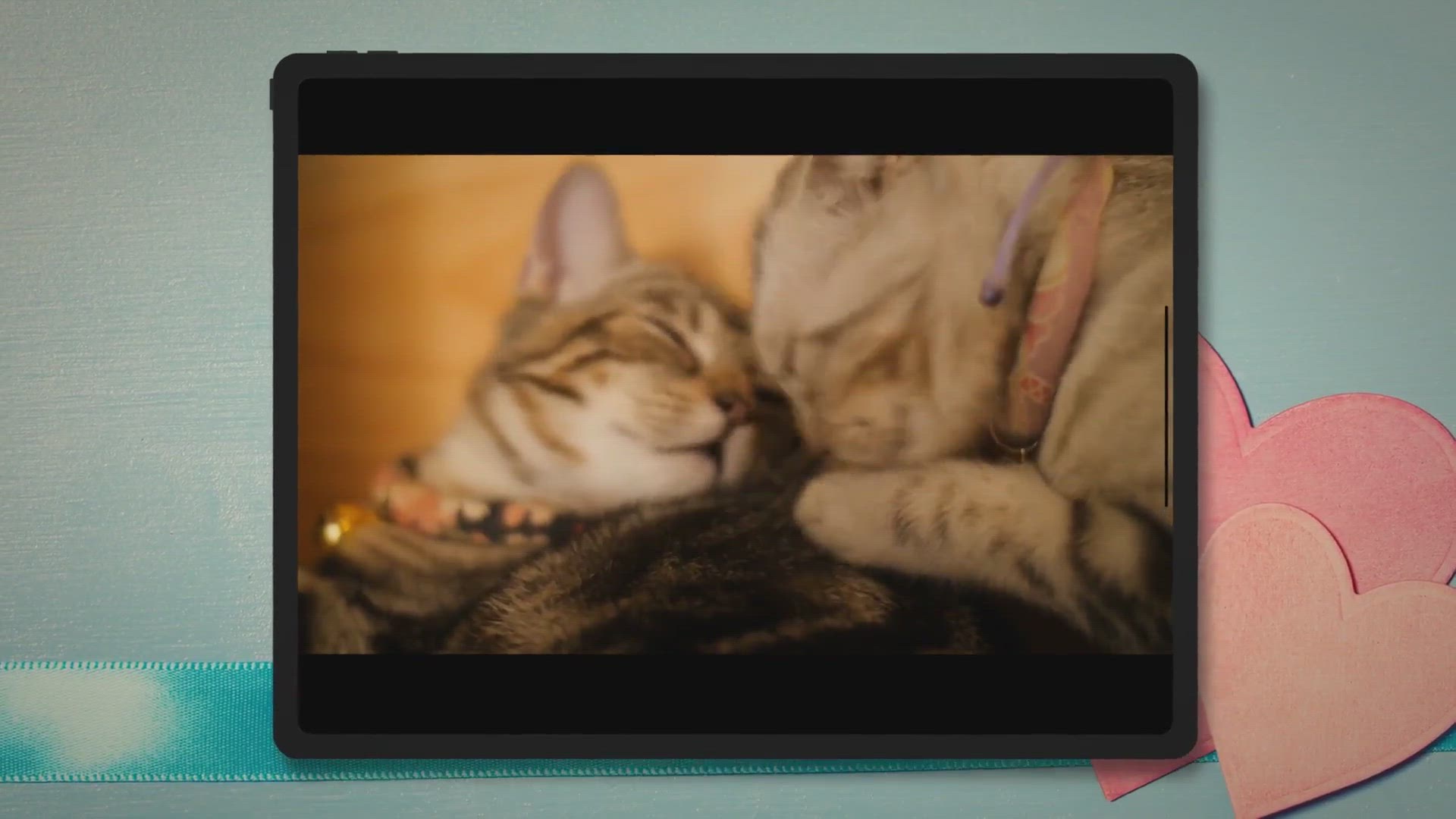 Video thumbnail for 馃惐 WHAT To Do If Your Cat LICKS Or EATS TOOTHPASTE?