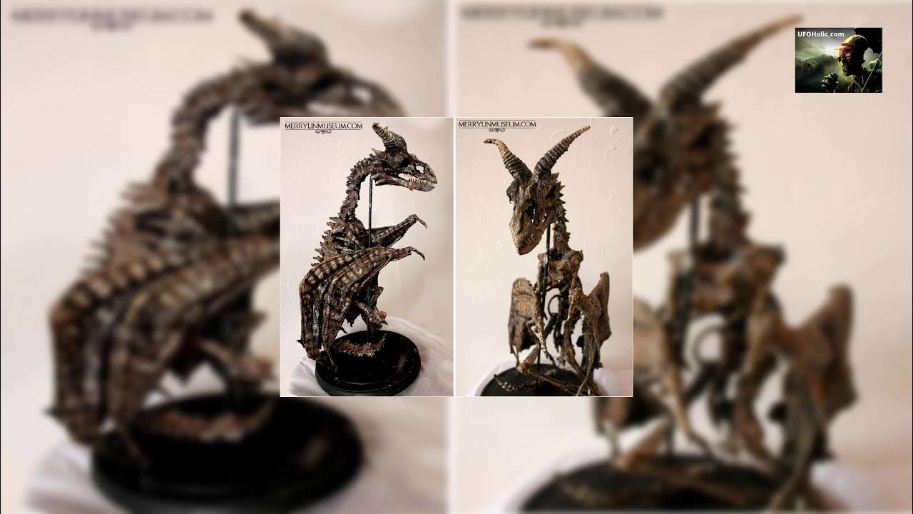 'Video thumbnail for Bodies Of Alien Creatures Were Found In The Basement Of Old House'