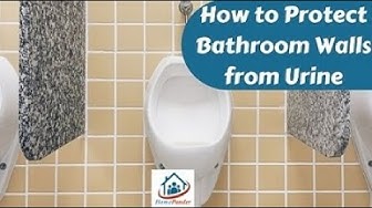 'Video thumbnail for How to Protect Bathroom Walls from Urine?'