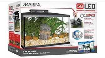 Playlist thumbnail for Video Ads