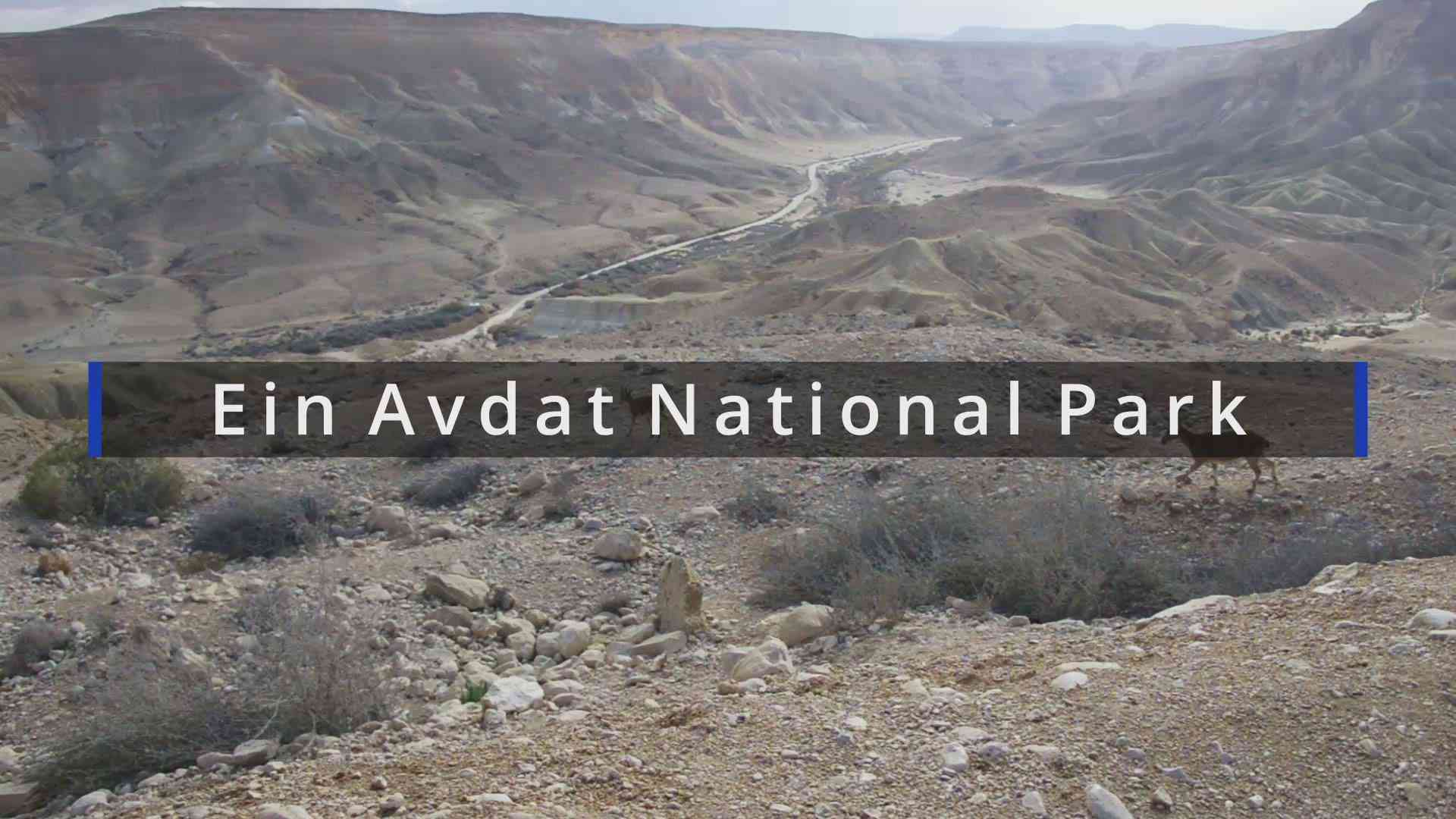 'Video thumbnail for Ein Avdat National Park'