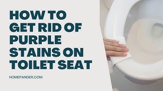 'Video thumbnail for How To Get Rid Of Purple Stains On Toilet Seat?'