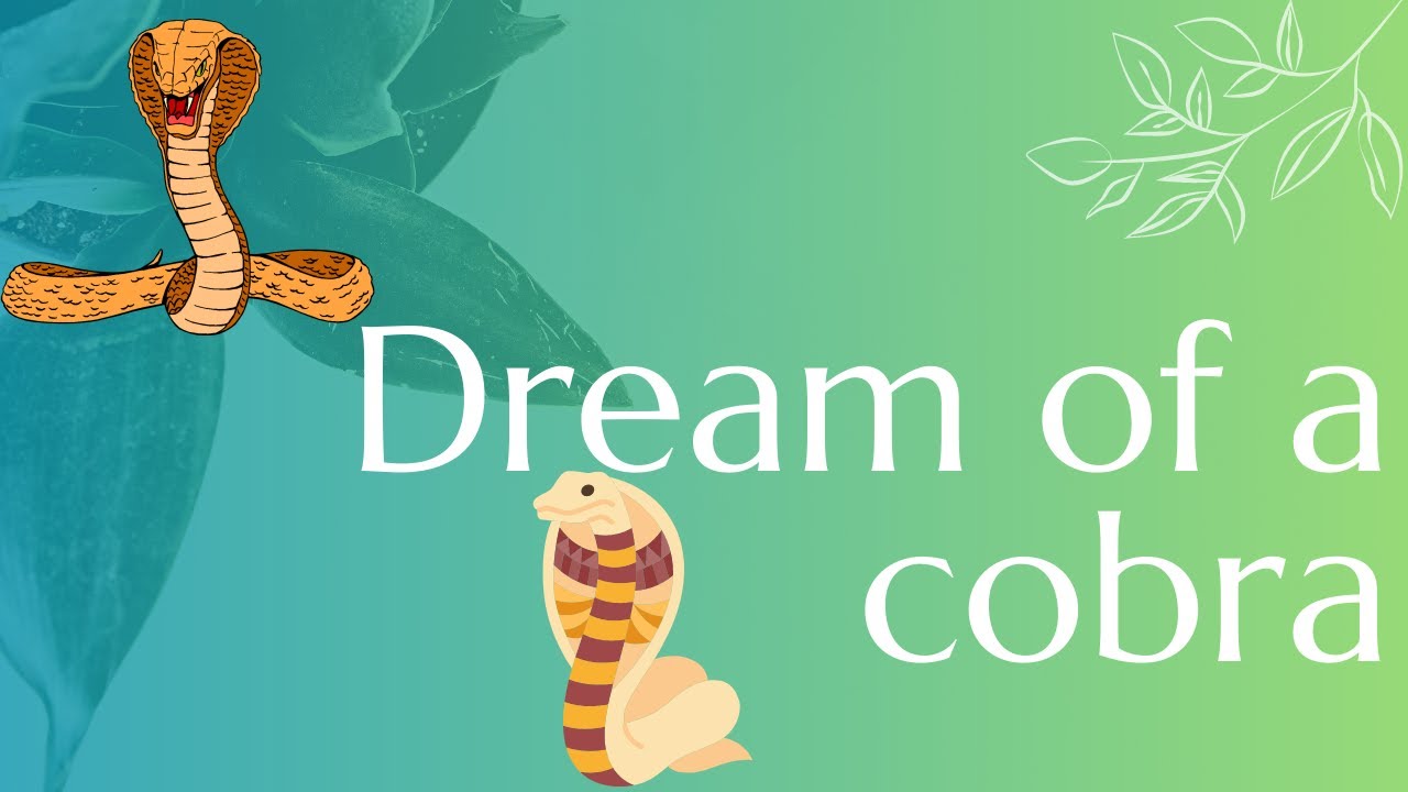 Video thumbnail for Dream of a cobra