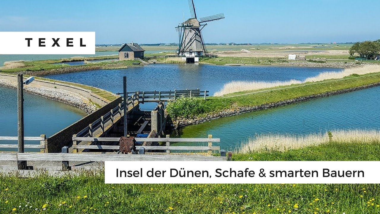 'Video thumbnail for Dünen auf der Insel Texel erleben und Texel Schafe streicheln'