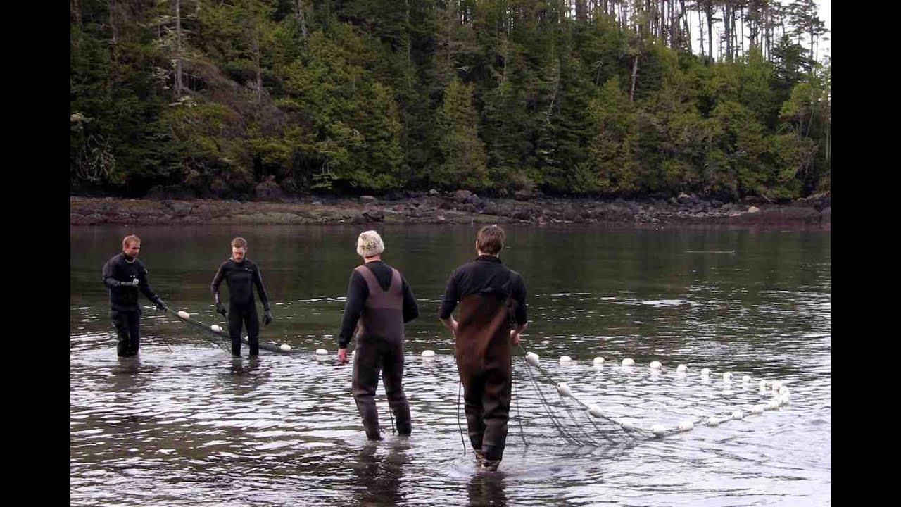 'Video thumbnail for Auf Vancouver Island - Fische fürs Ucluelet Aquarium'