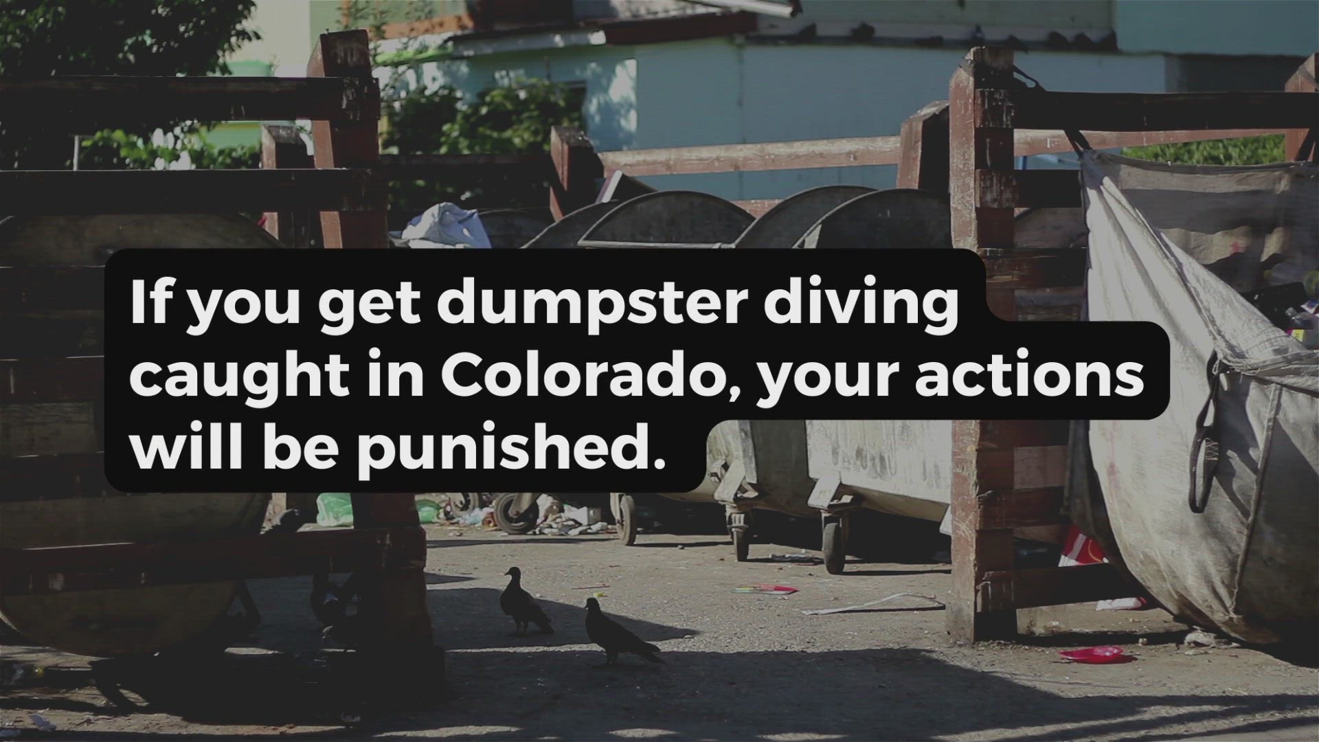 Video thumbnail for Dumpster Diving in Colorado