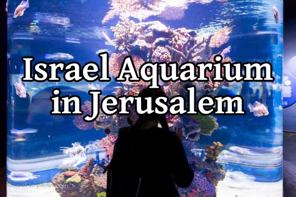 'Video thumbnail for Israel Aquarium in Jerusalem'